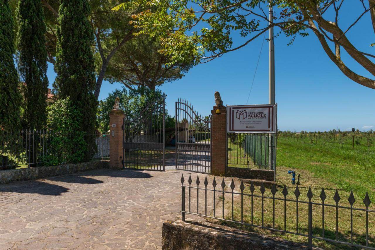 Agriturismo Le Vecchie Scuole Campiglia Marittima Eksteriør billede