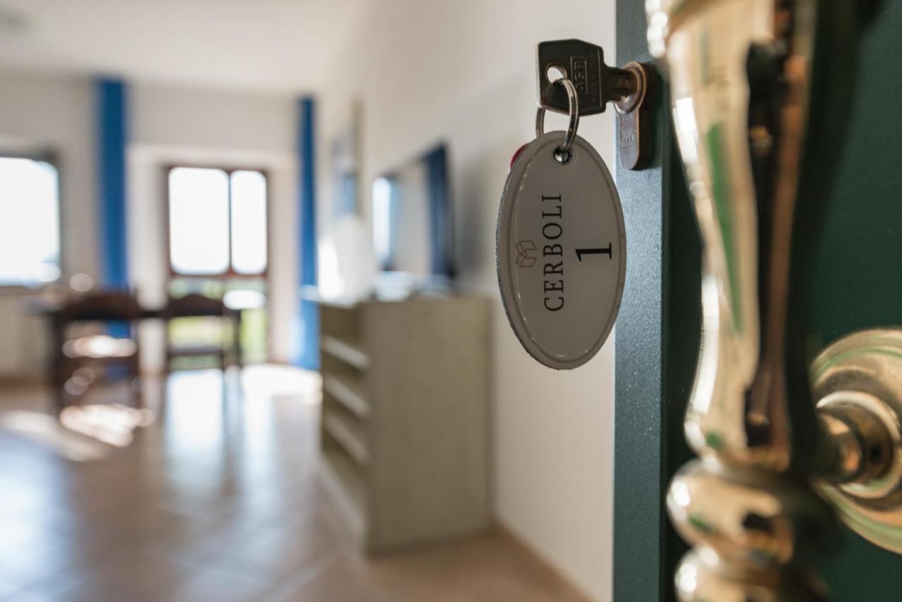 Agriturismo Le Vecchie Scuole Campiglia Marittima Eksteriør billede